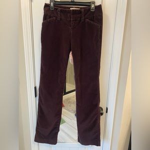 London Jean corduroy dress pants
